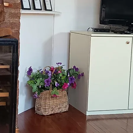 A' Mansarda Via Piave 都灵